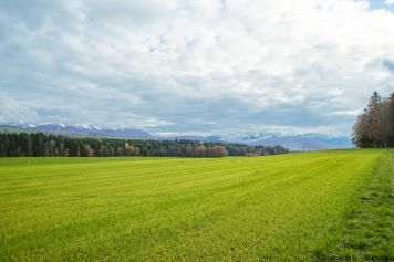 Balade panoramique dans la campagne fribourgeoise, entre Rue et Oron-le-Chatel
