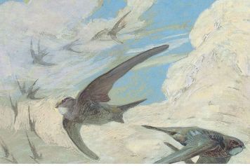 Un concours de dessin ouvert à tous