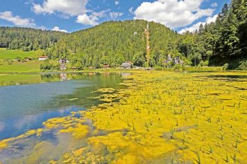 Balade panoramique sur la berge française du Doubs