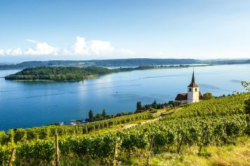 Balade panoramique à travers vignes, sur les coteaux du lac de Bienne