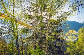 Randonnée nature au fil de l'eau en Valais
