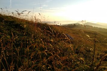 Le 4 juillet 2020, balade nocturne sur les crêtes du Jura