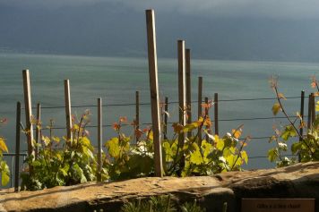 Les 14 juin et 3 octobre 2020, rando accompagnée