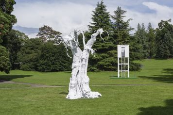 Du 12 juin au 10 septembre 2020, 2e Biennale de Genève