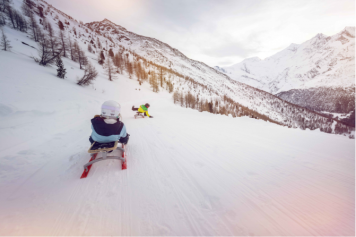 Descente en luge de 3.3 km à travers les sapins.