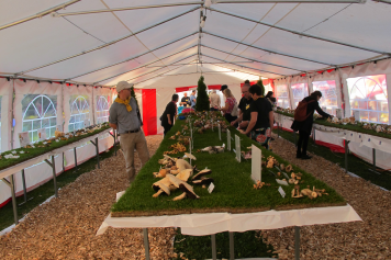 Du 2 au 3 octobre 2021, exposition et animations sur les champignons