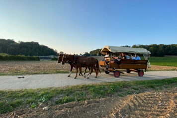 Balades à cheval ou en char dans l'Ajoie