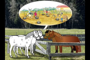 Cours d'équitation pour enfants dès 3 ans à Nods (BE)