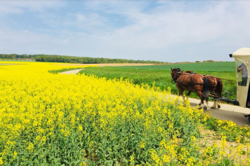 Fondue insolite en Ajoie