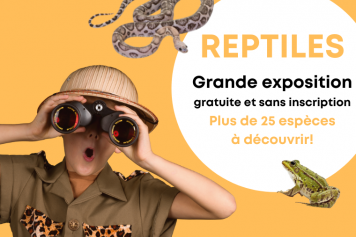 Du 6 juin au 2 juillet 2022, exposition de 25 reptiles dans le canton de Vaud