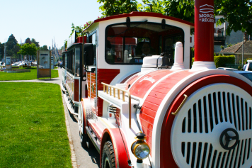 Les 15 et 22 octobre 2025, sorties spéciales en petit train