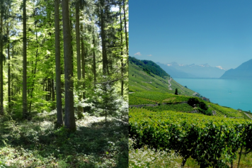 Le 3 septembre 2022, rando entre forêt et vignobles