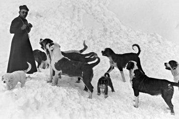 Du 7 avril au 31 décembre 2023, exposition temporaire au Barryland