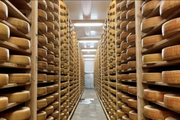 Découvrez les secrets de fabrication du L'Etivaz AOP et profitez de la beauté des paysages alpins vaudois