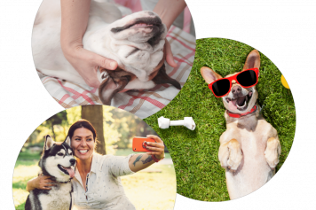 Le 8 octobre 2023, parcours d'obstacles, démonstrations et village 100% canin