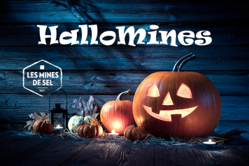 En octobre et novembre 2023, animations d'automne à Bex (VD)