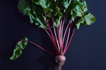 Du  14 au 24 septembre 2023, exposition de photographies à Vevey