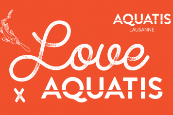 Le 14 février 2024, visite et repas romantiques à Lausanne