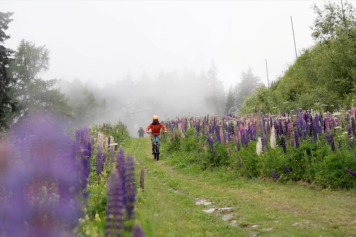 Loisirs.ch en roue libre