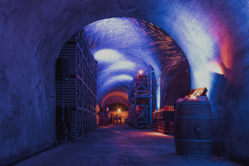 Les 22 et 23 novembre 2024, cluedo grandeur nature à la Cave du Tunnel de Conthey (VS)