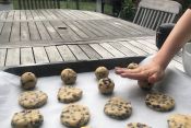Activités pour les enfants Activités pour les enfants