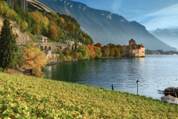 Visite guidée oenotouristique - Chillon - Vaud