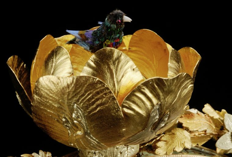 Image oiseaux miroir expo.jpg Image oiseaux miroir expo.jpg