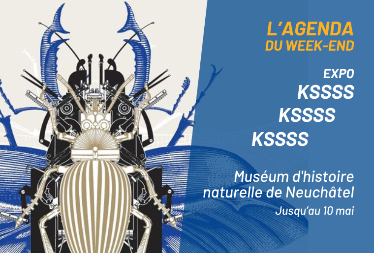 Agenda du week-end - 14 au 16 novembre 2025