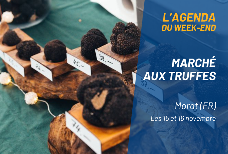 Agenda du week-end - 14 au 16 novembre 2025