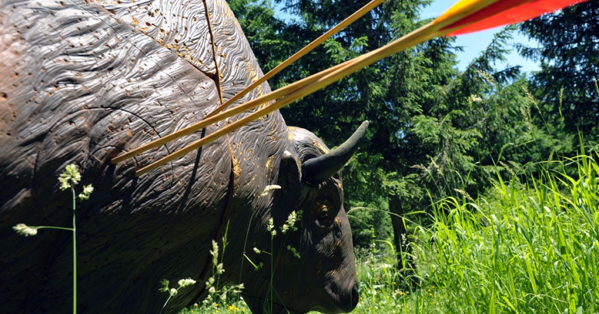 Saison de chasse au tir à l'arc: arcs à poulies vs arbalètes - Guide Survie