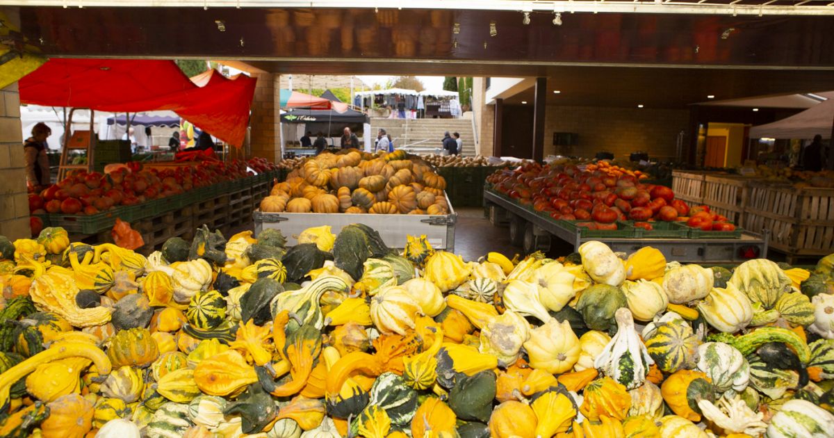Fete De La Courge Sainghin En Melantois