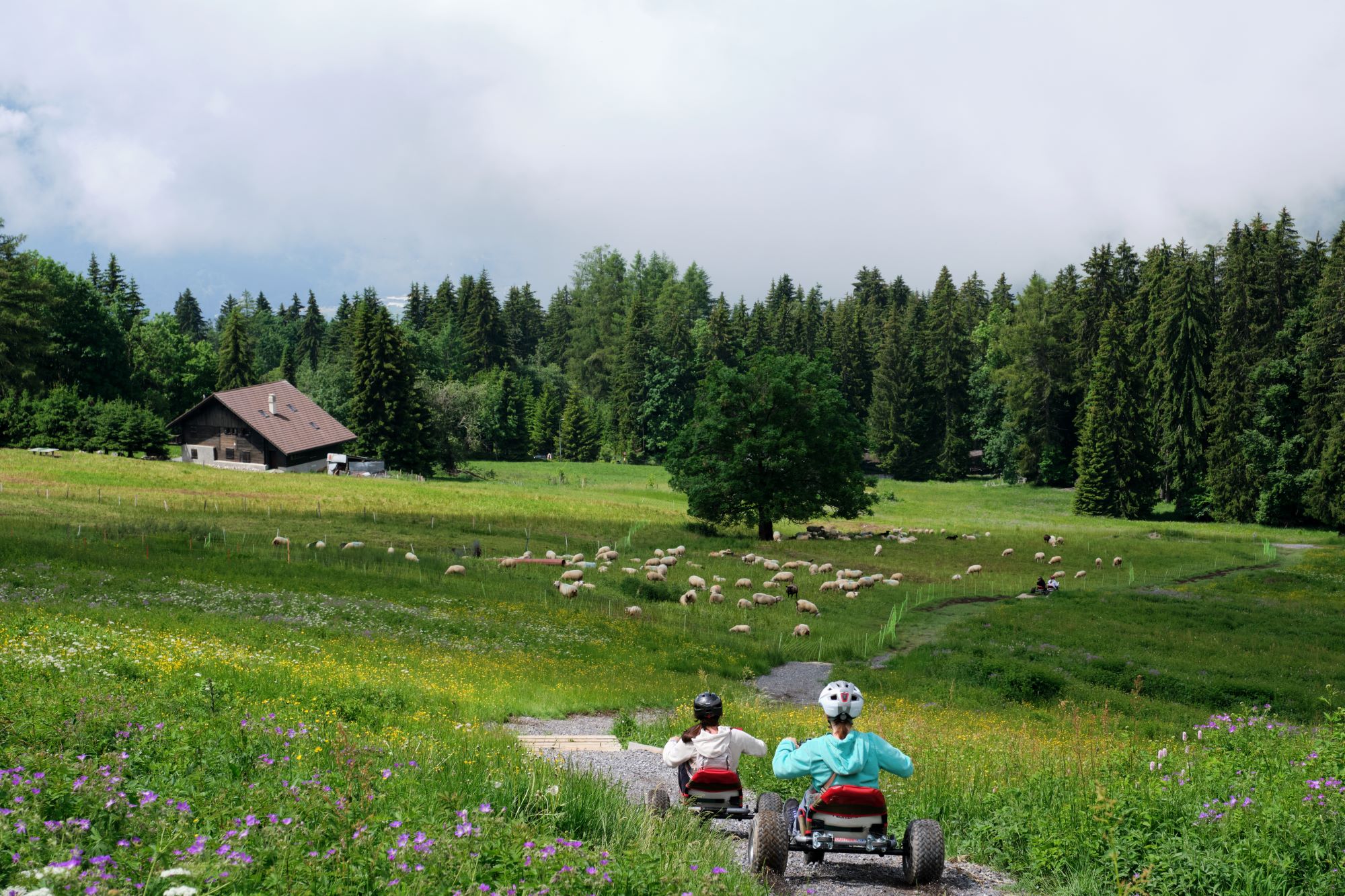 Une descente en mountain cart à Villars.