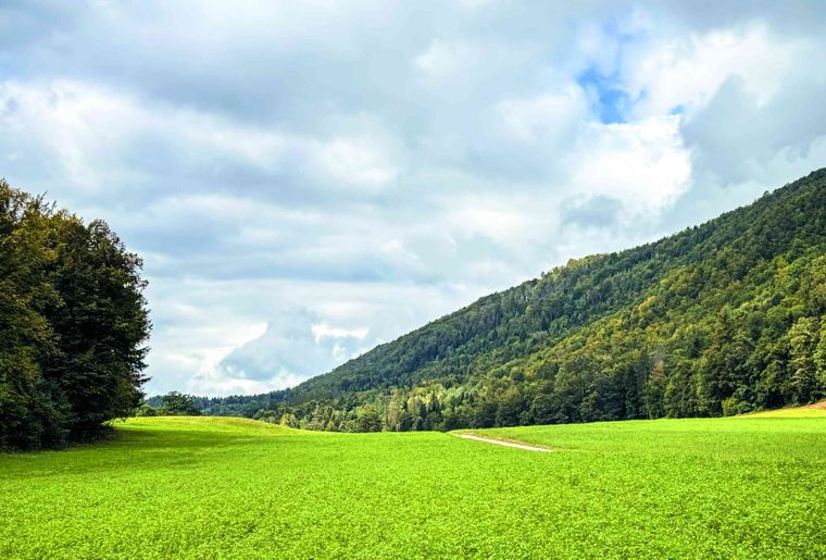 Rando chocolat dans la campagne delémontaise. © Katja Baud-Lavigne
