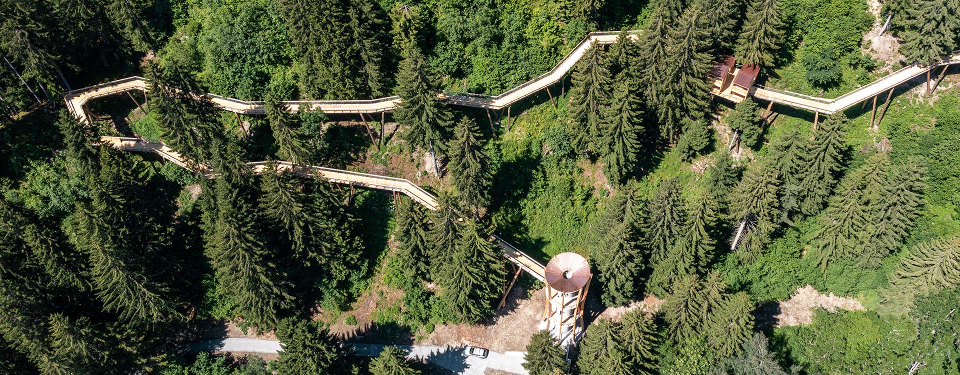 Au cœur de la forêt, à la périphérie de Laax, le Sentier du Dragon déroule sa longue queue parfaitement intégrée dans la nature.