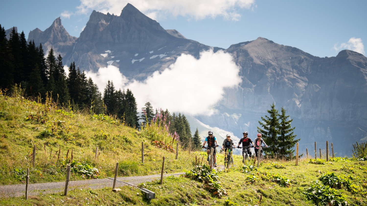 Votre sortie VTT aux couleurs automnales dans la Région Dents du Midi