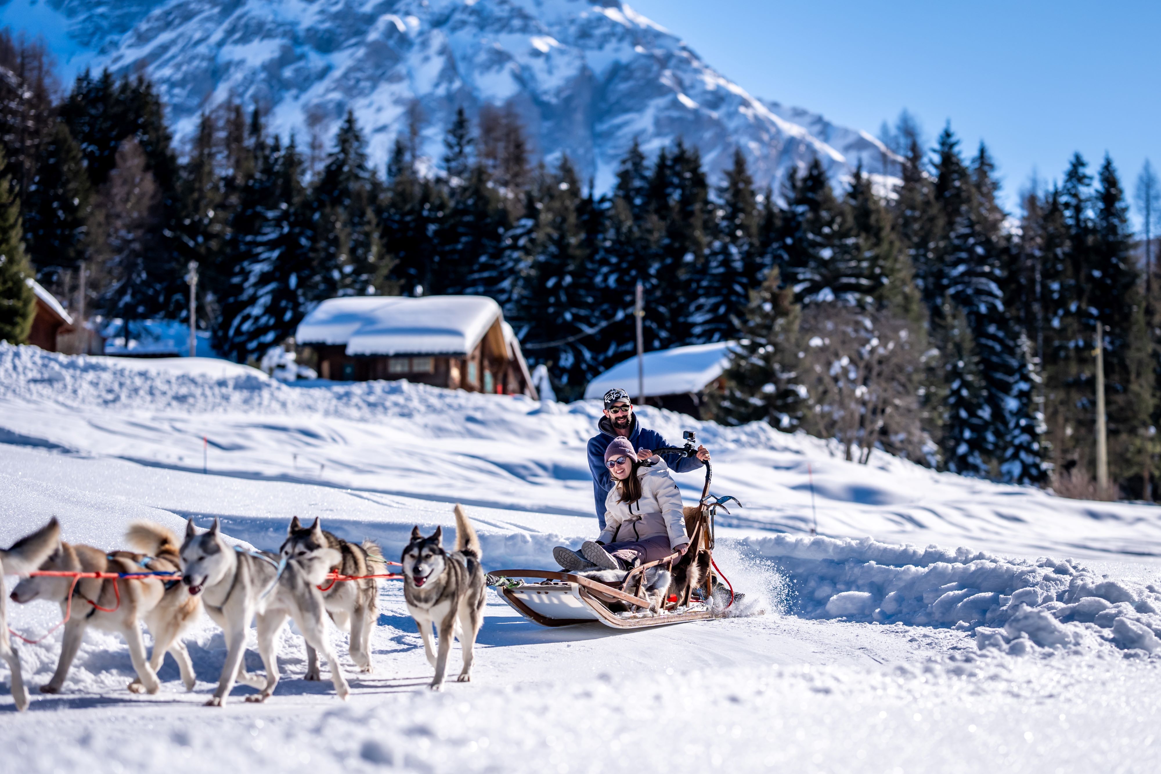 Chiens traineaux Thyon, Valais, hiver
