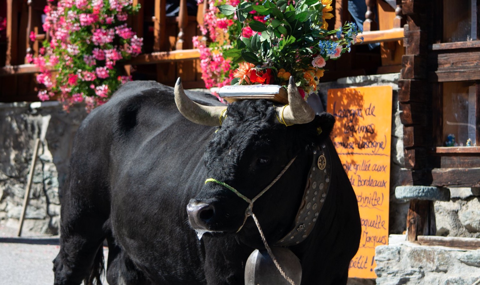 Dans le val d'Anniviers, les reines fleuries rivalisent avec les balcons des raccards.