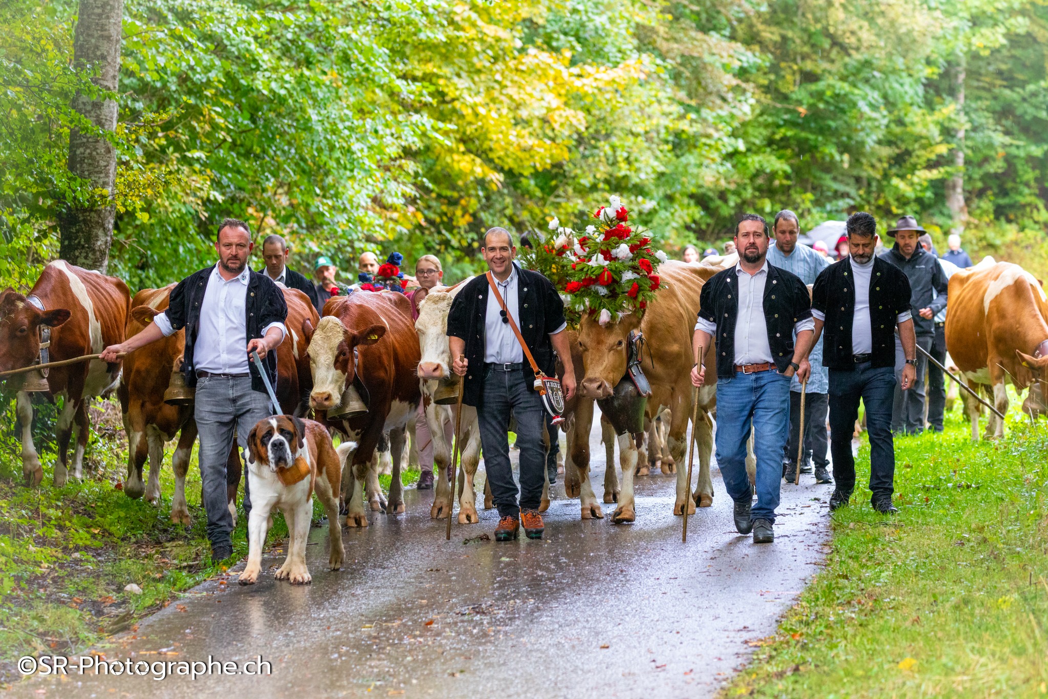 Chaque automne, St-Cergue célèbre le retour du bétail en plaine avec un défilé hautement folklorique.