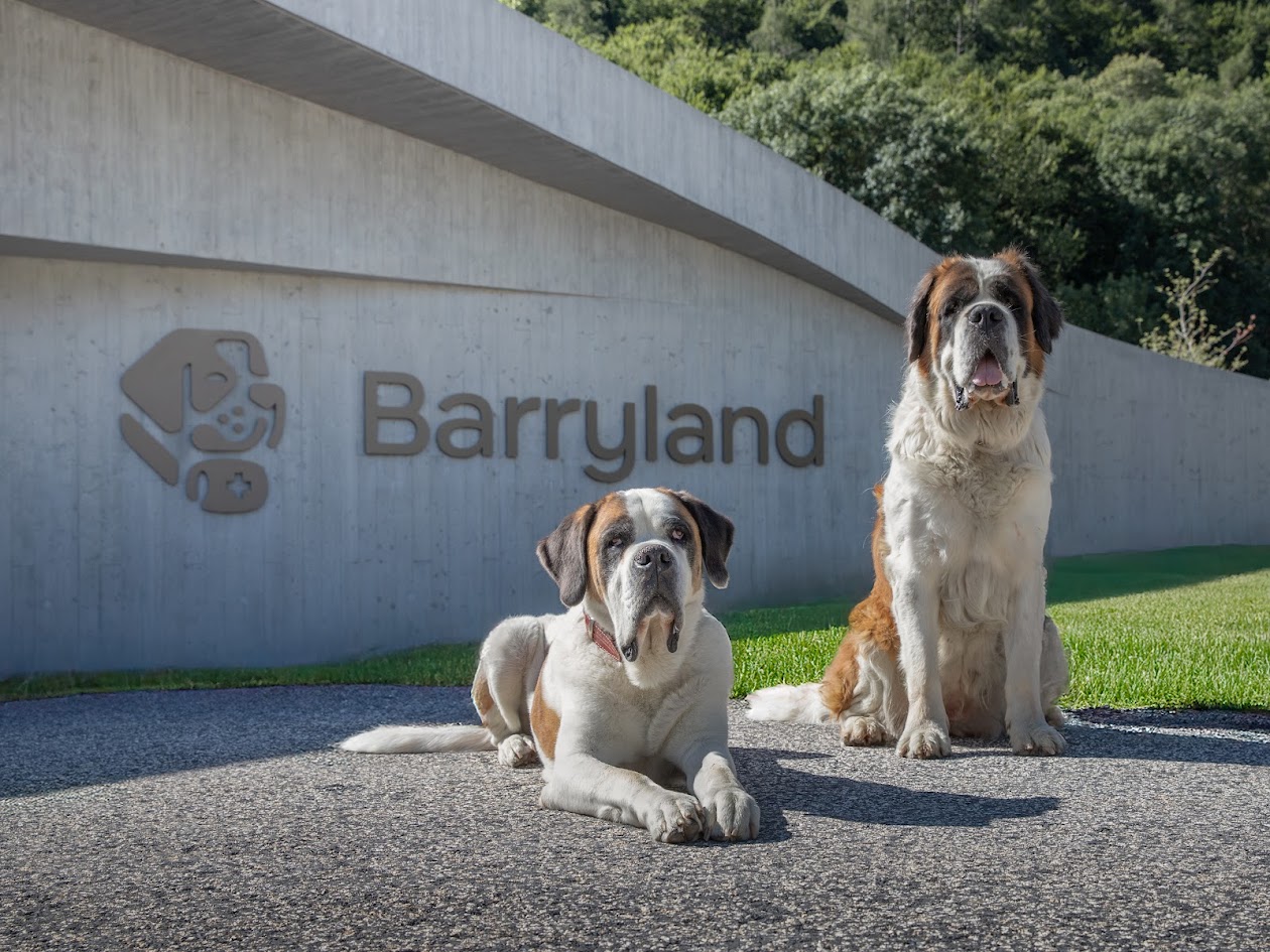 Les meilleurs musées de Suisse en hiver, Barryland, Martigny