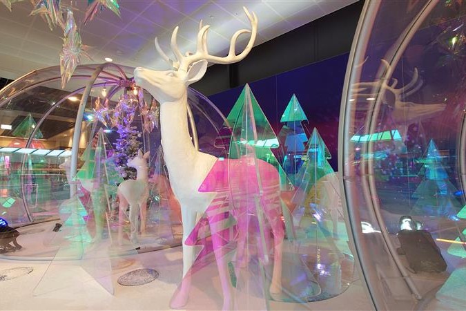 A Migros Chablais, la magie des Fêtes prend exemple sur la majesté du cerf.