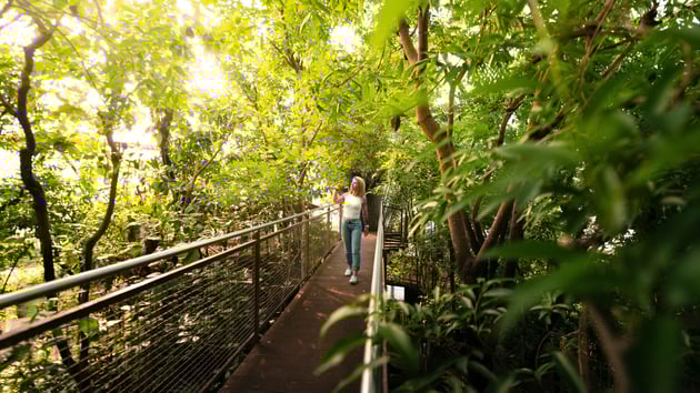 A Kerzers (FR), le Papiliorama ouvre les portes d'une nature rare à deux pas de chez vous.