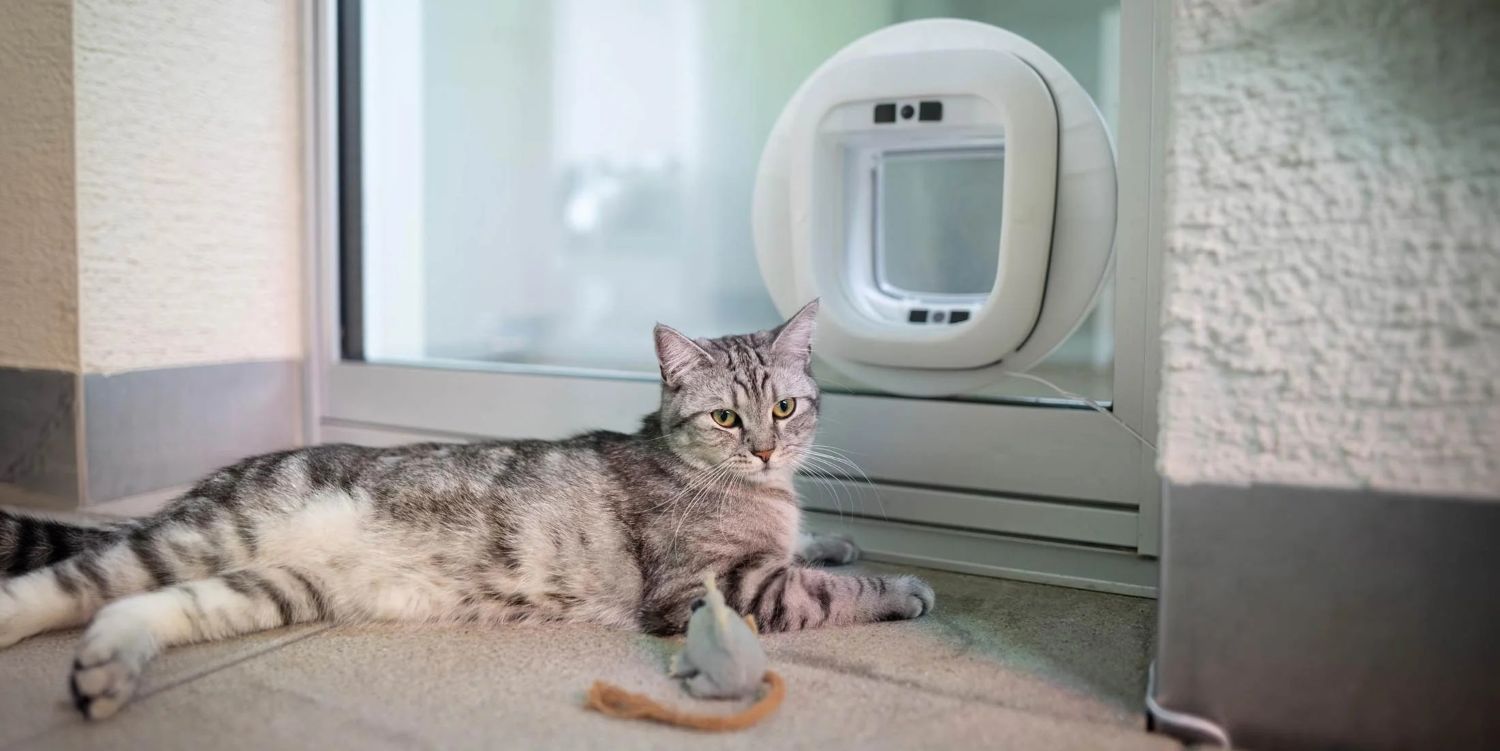 Chatière intelligente Flappie