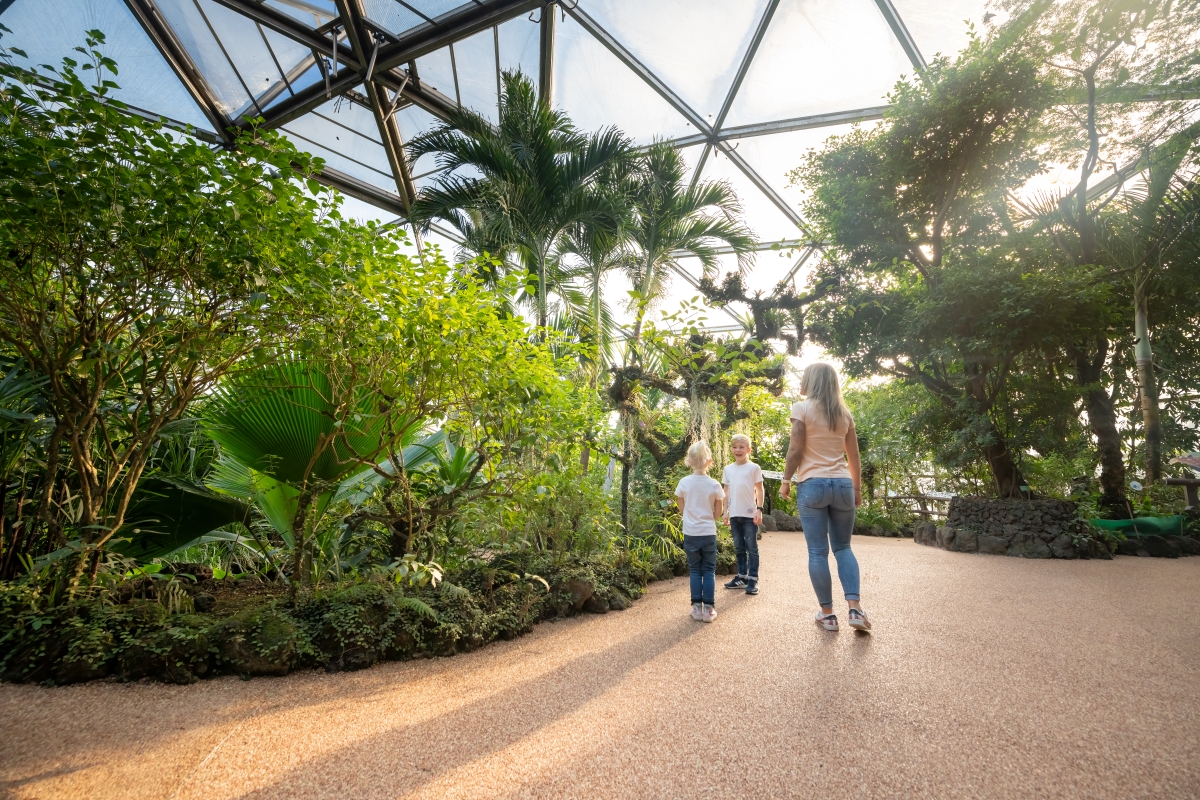 Le Papiliorama à Morat, les tropiques en hiver