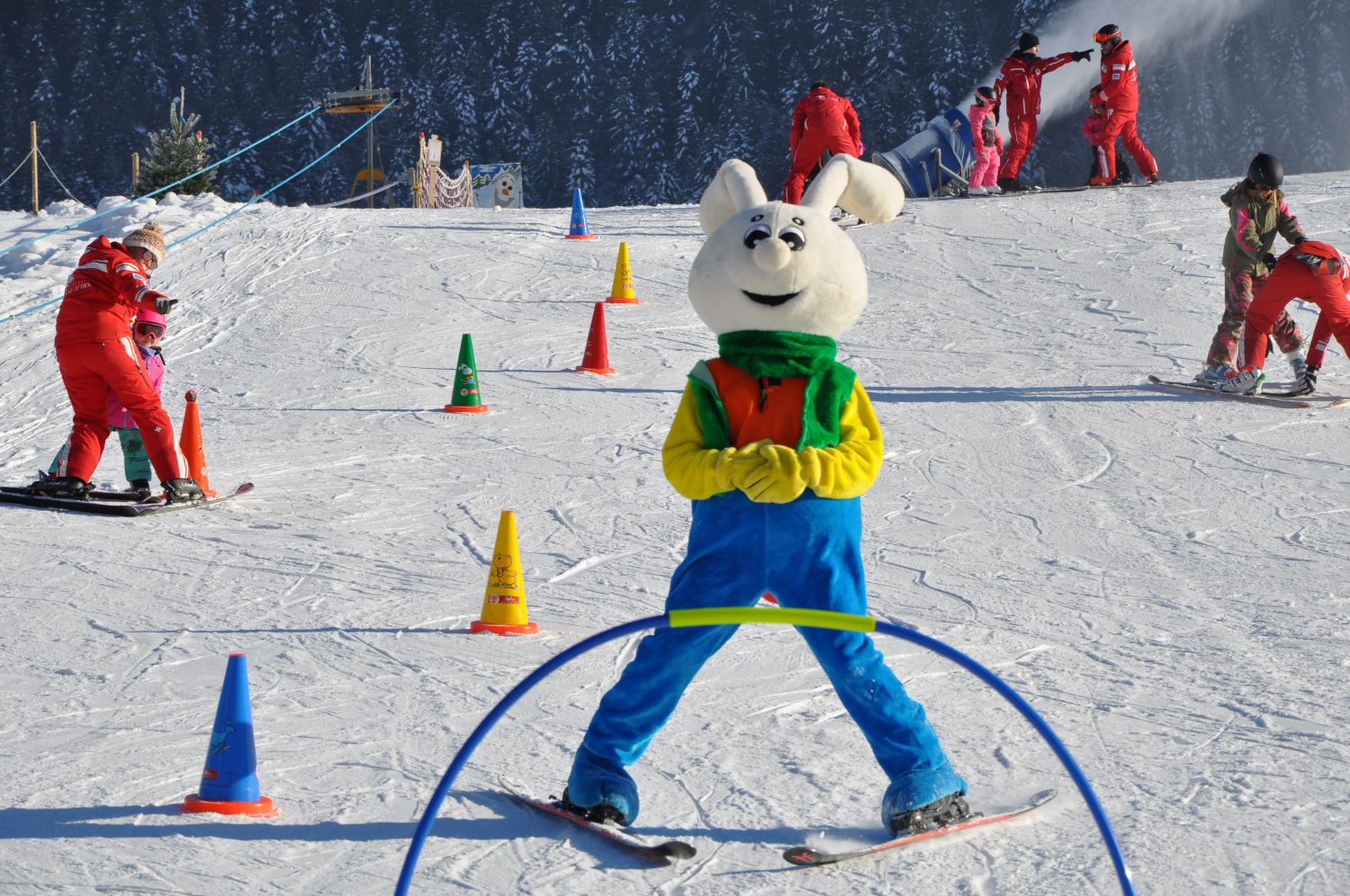 Jardin des neiges de Château-d'Oex