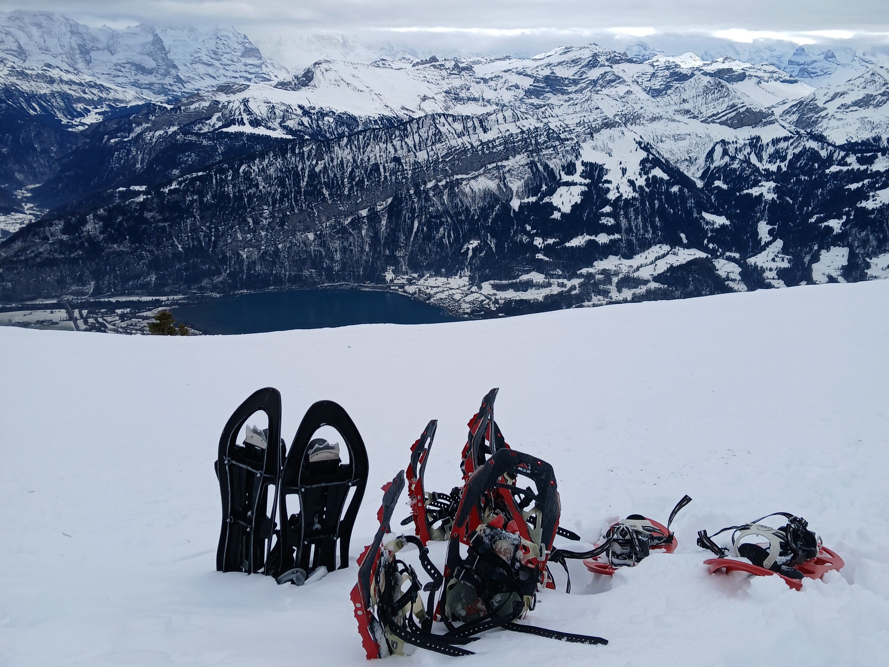 En raquettes au sommet du Niederhorn